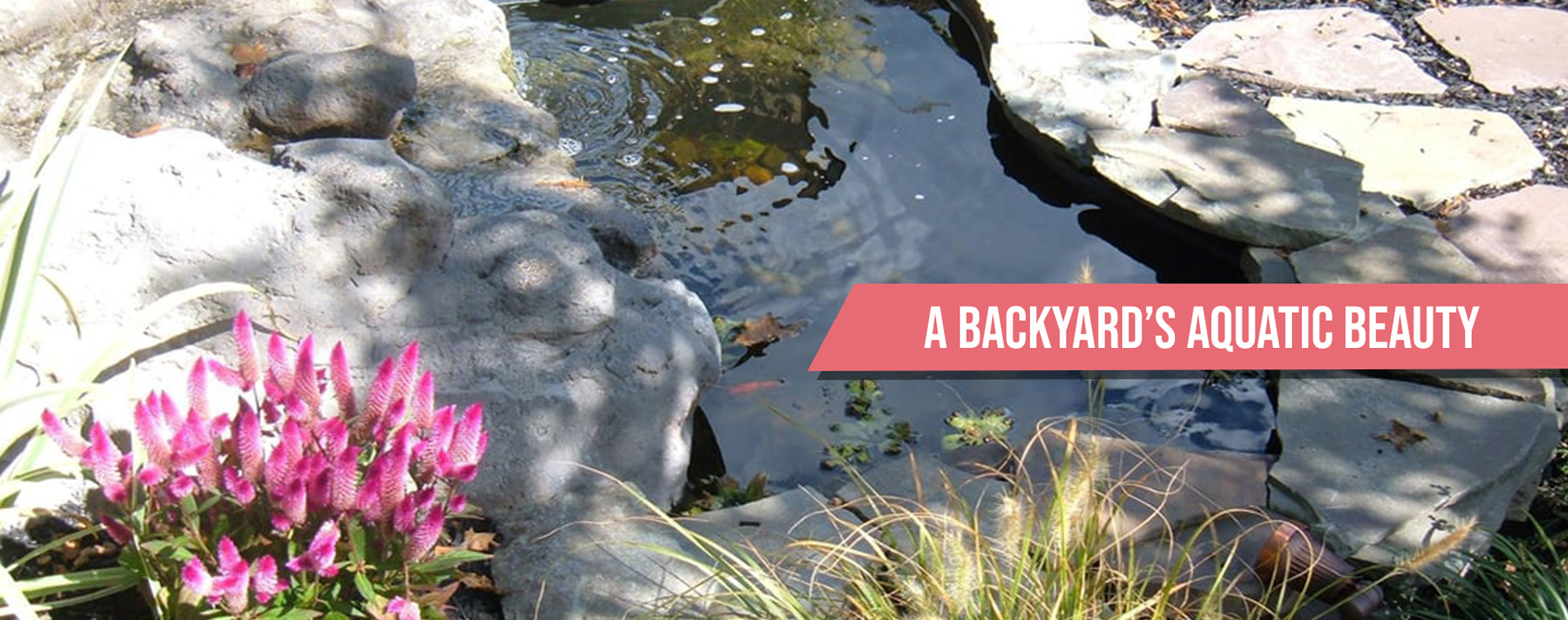 water-features-banner